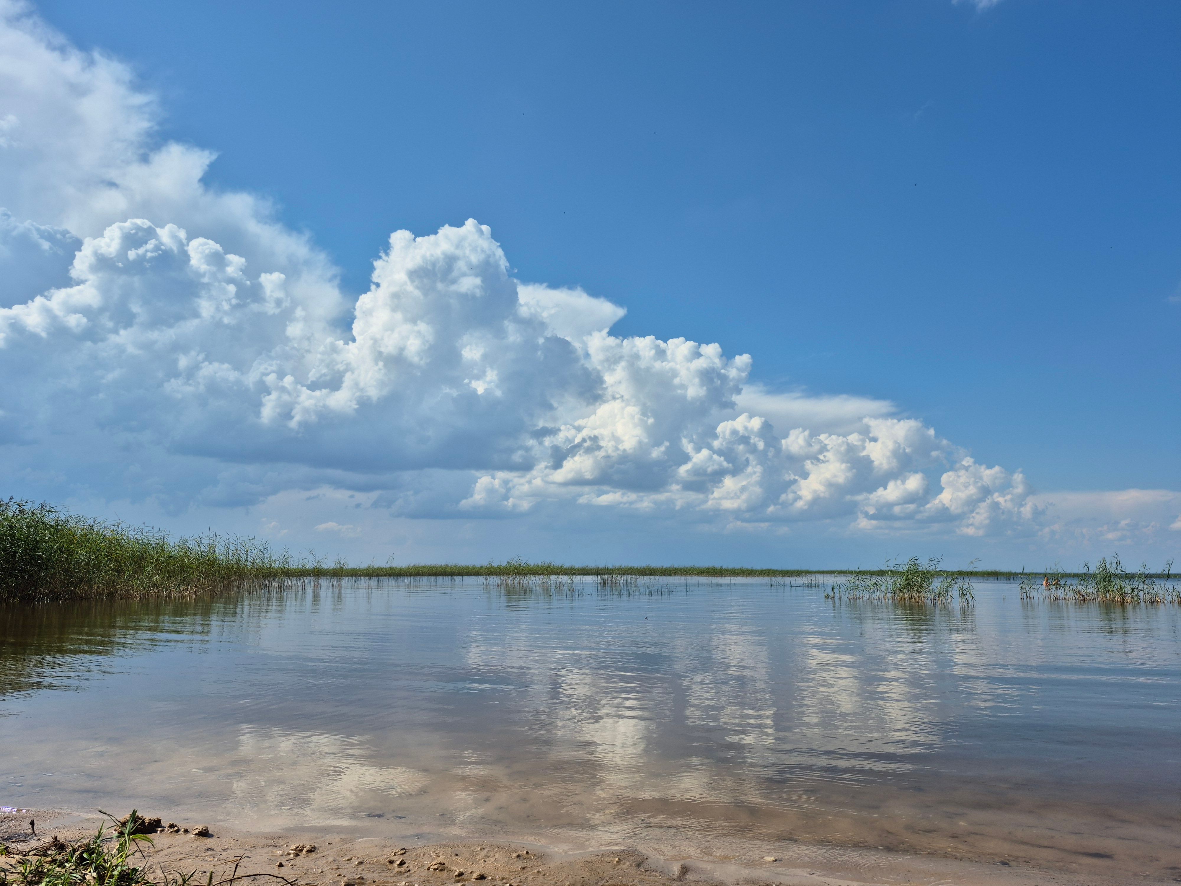 Võrtsjärv