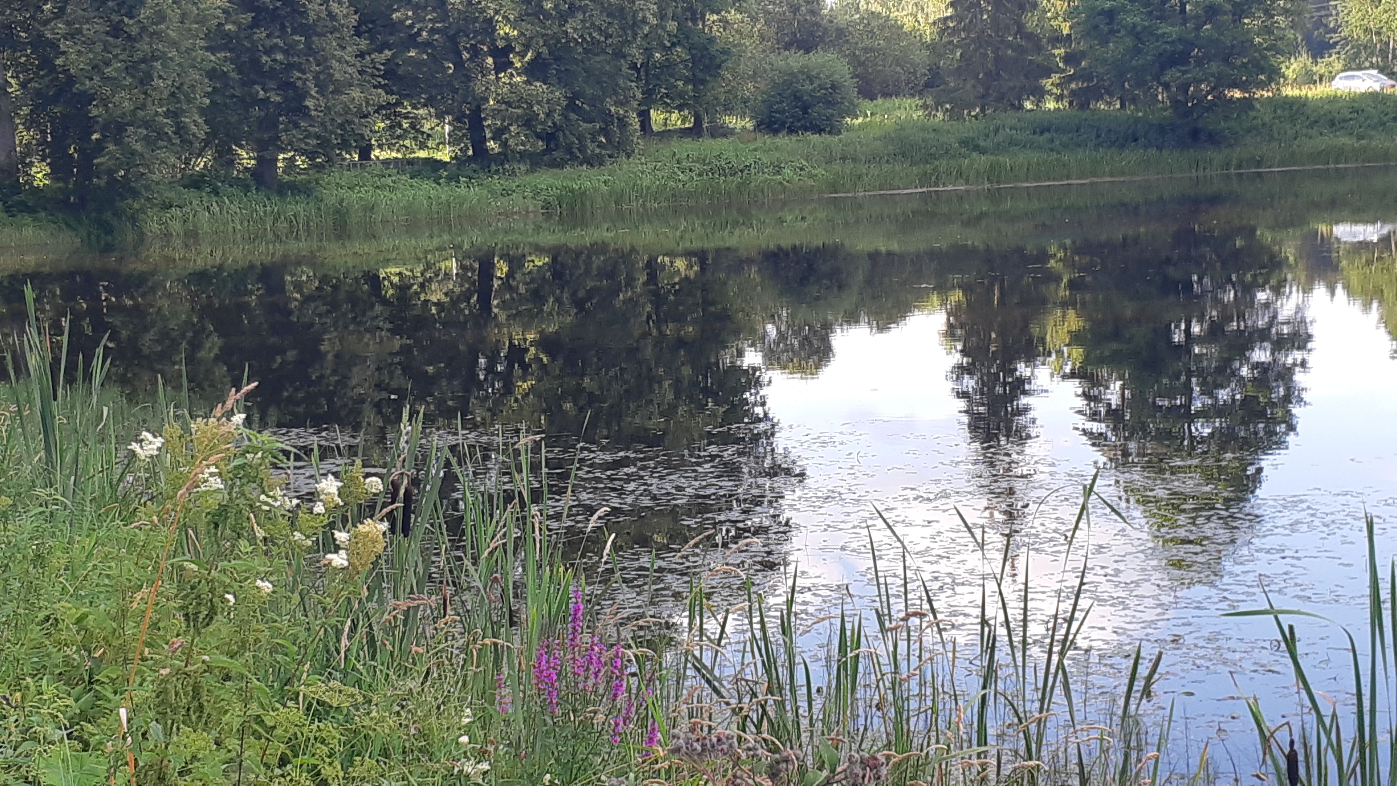 Järvepeegeldused 