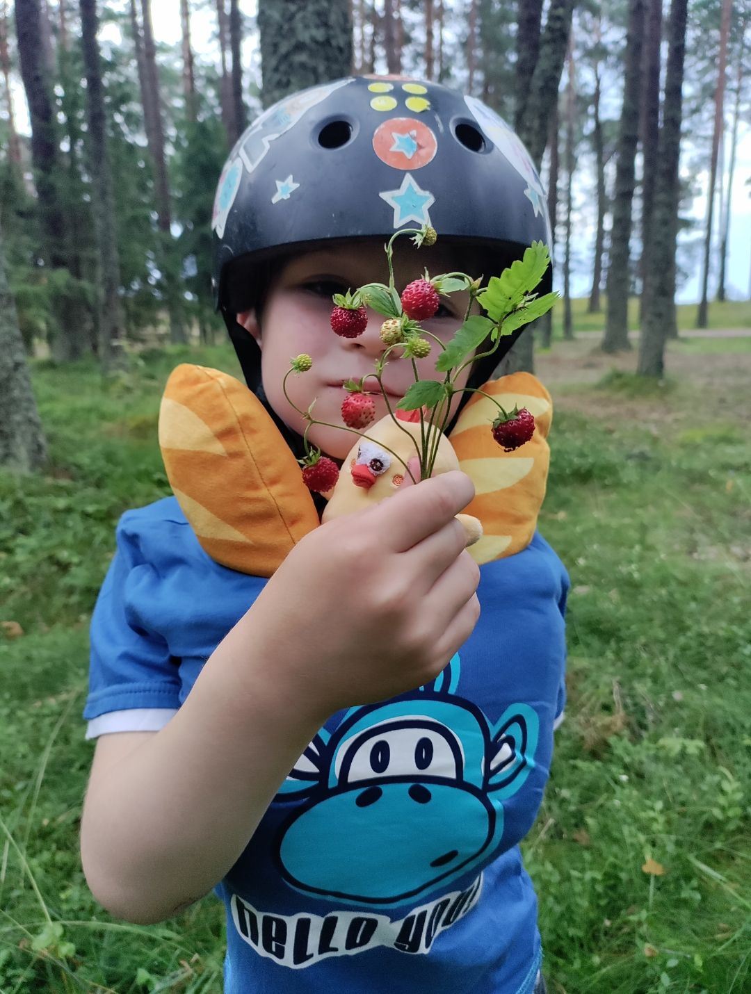 Kauksi metsmaasikad