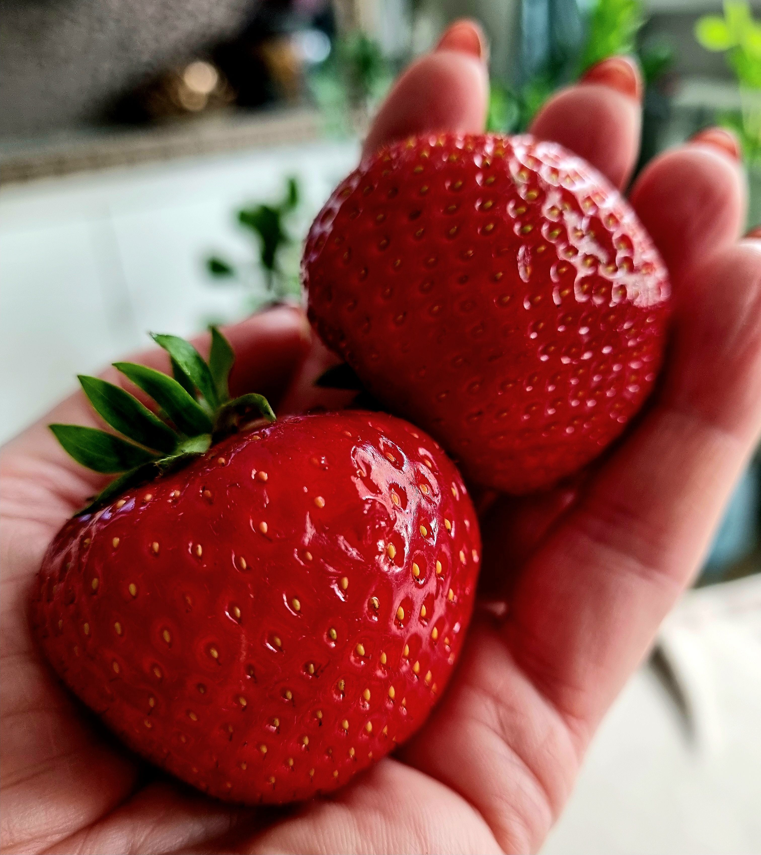 Mõtlesin, et maiustan peotäie oma aia maasikatega. Pidin ainult kahega leppima, rohkem pihku ei mahtunud.