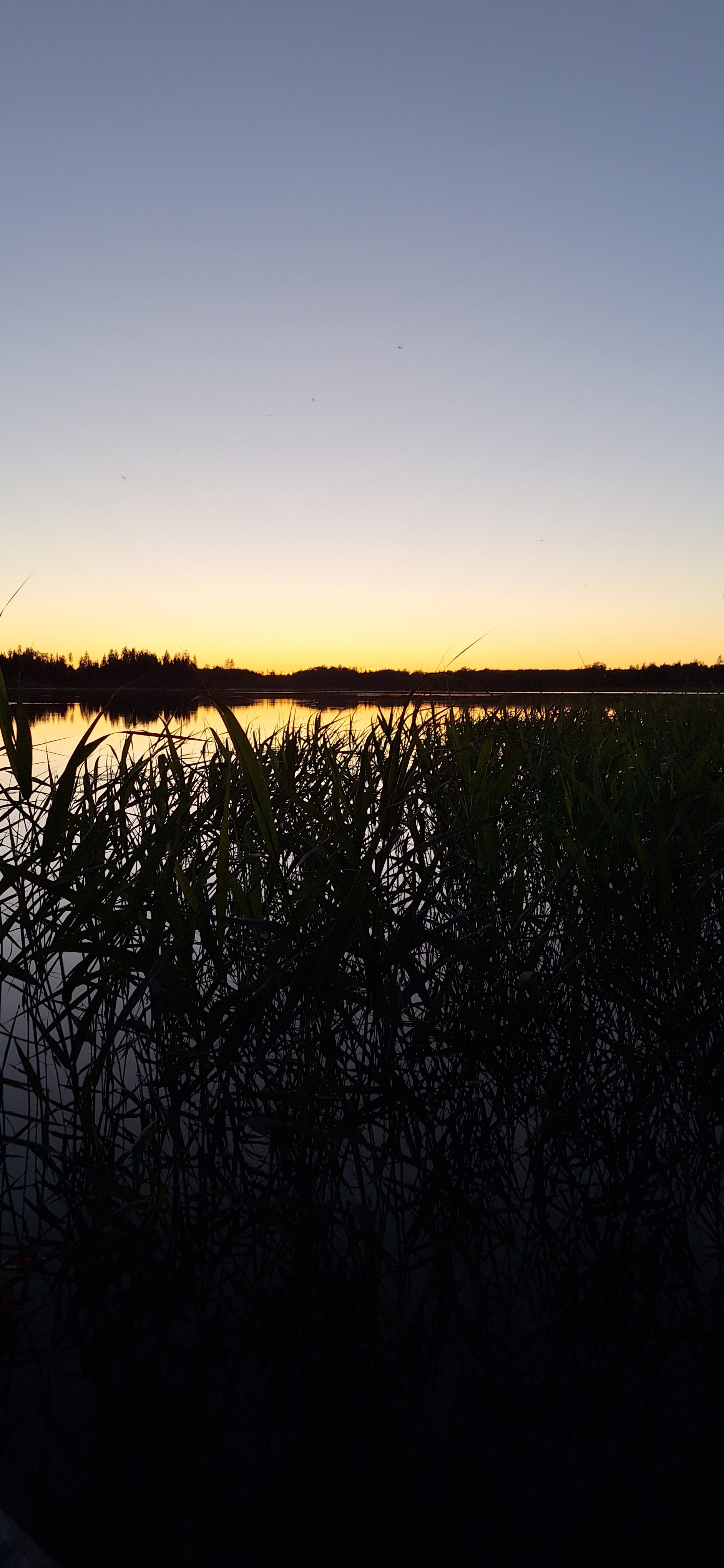 Päikeseloojang Mäeküla järvel.