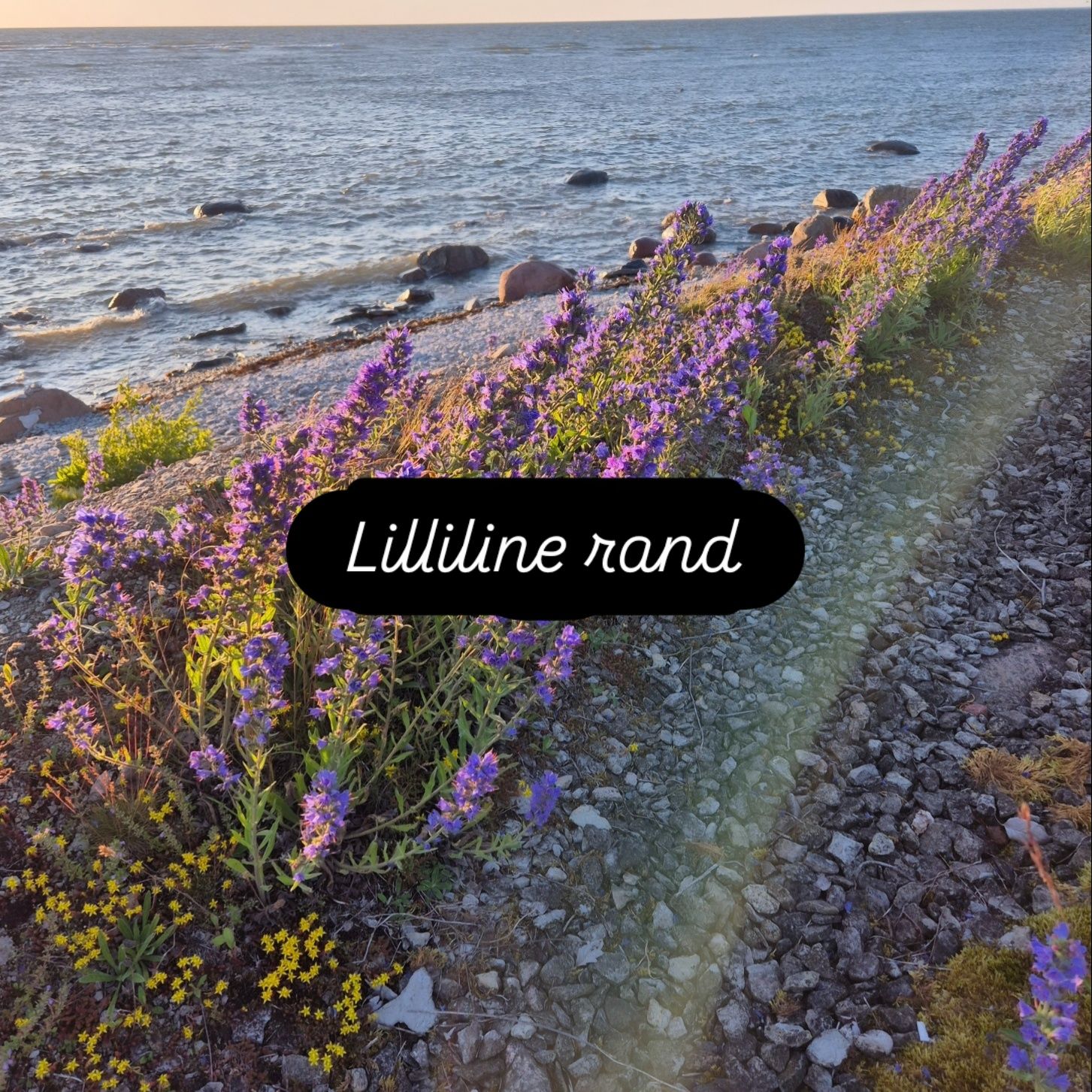 Lilleline rand