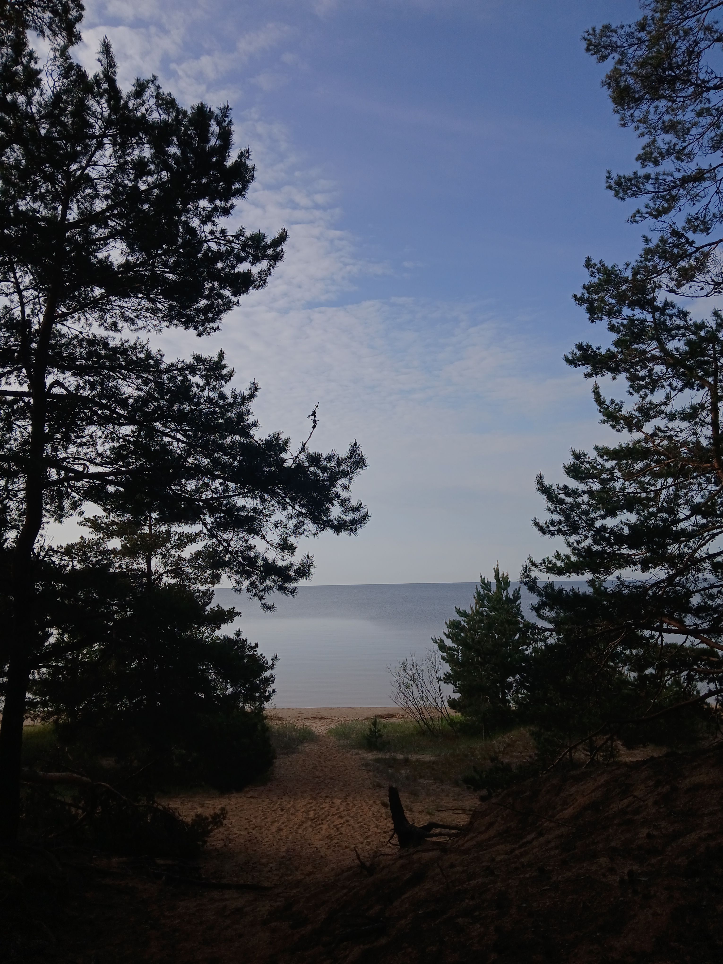 Imeilus Eesti loodus. Kaunis ja rahustavalt kohisev Peipsi järv. 