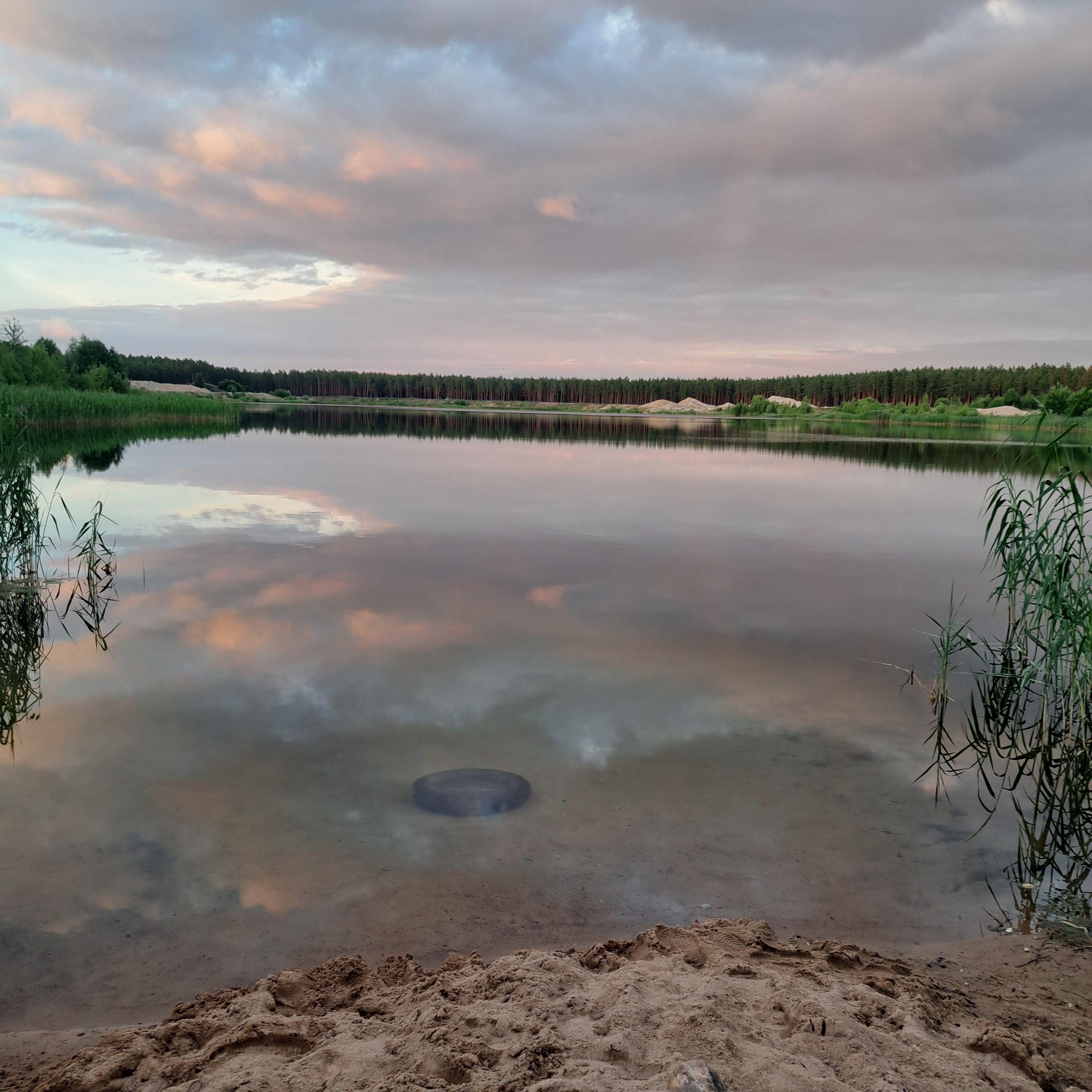 Peegeldus karjääris