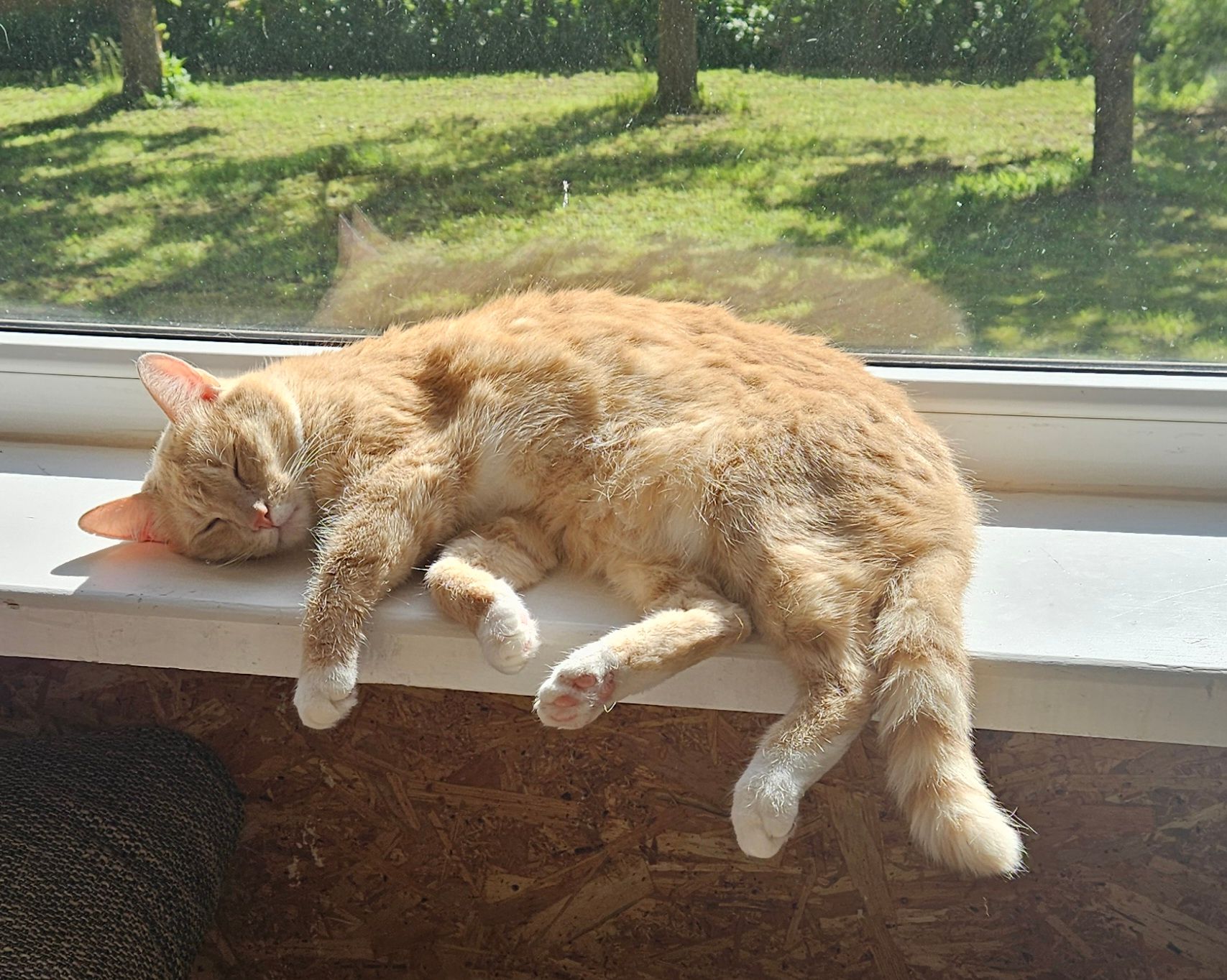 Päevituspäev 