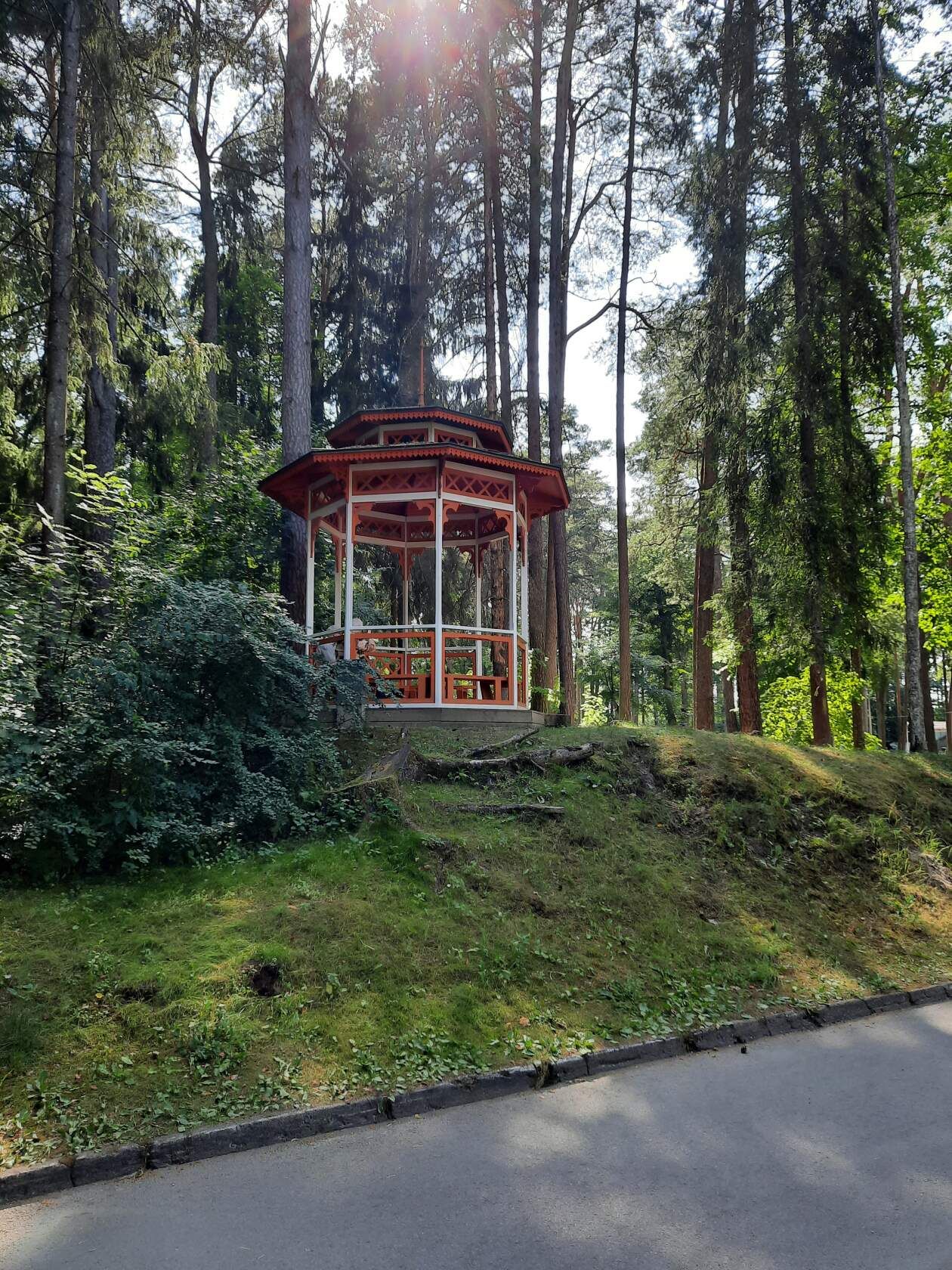 Vaikus