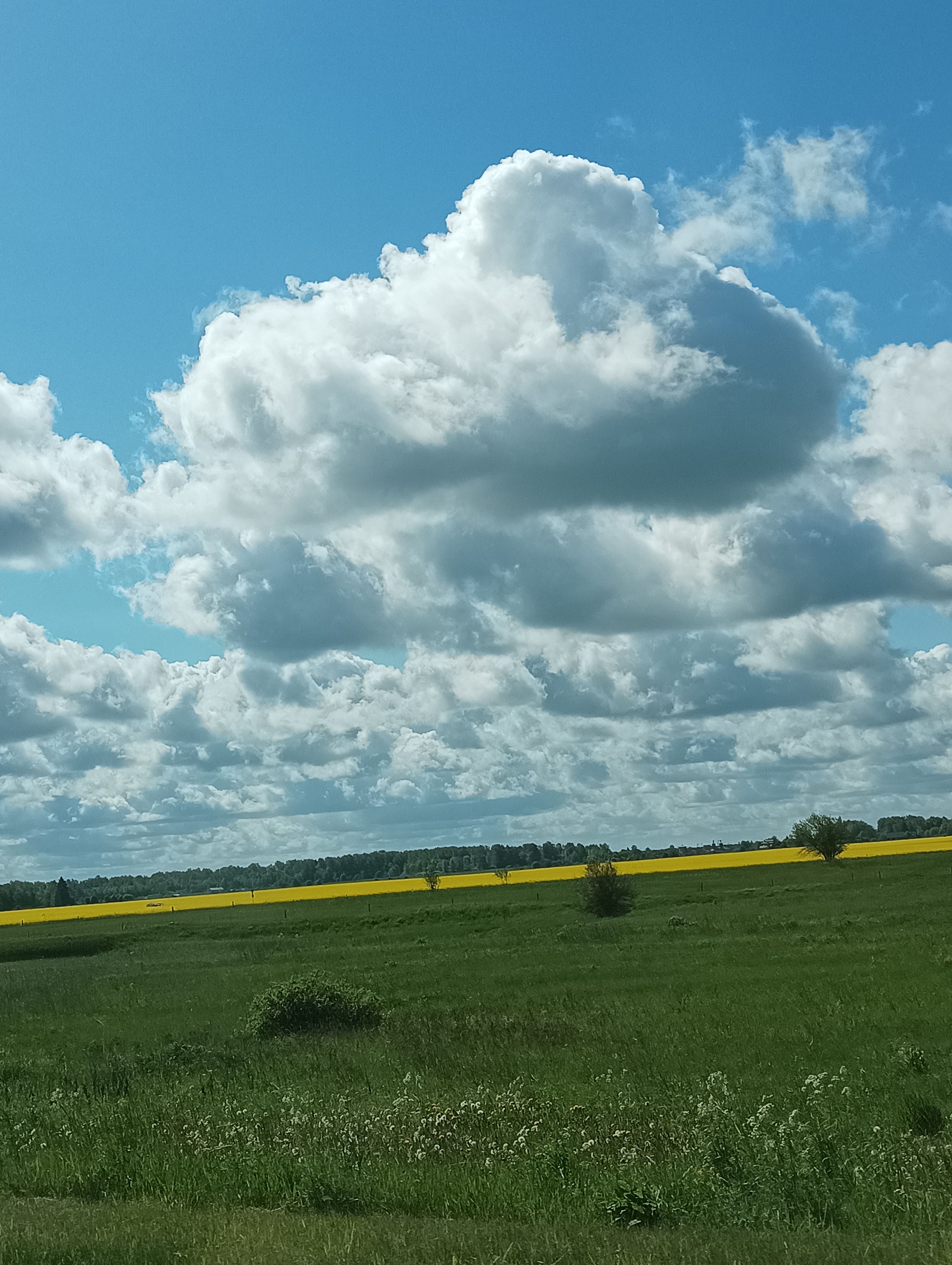 Harjumaa suvi