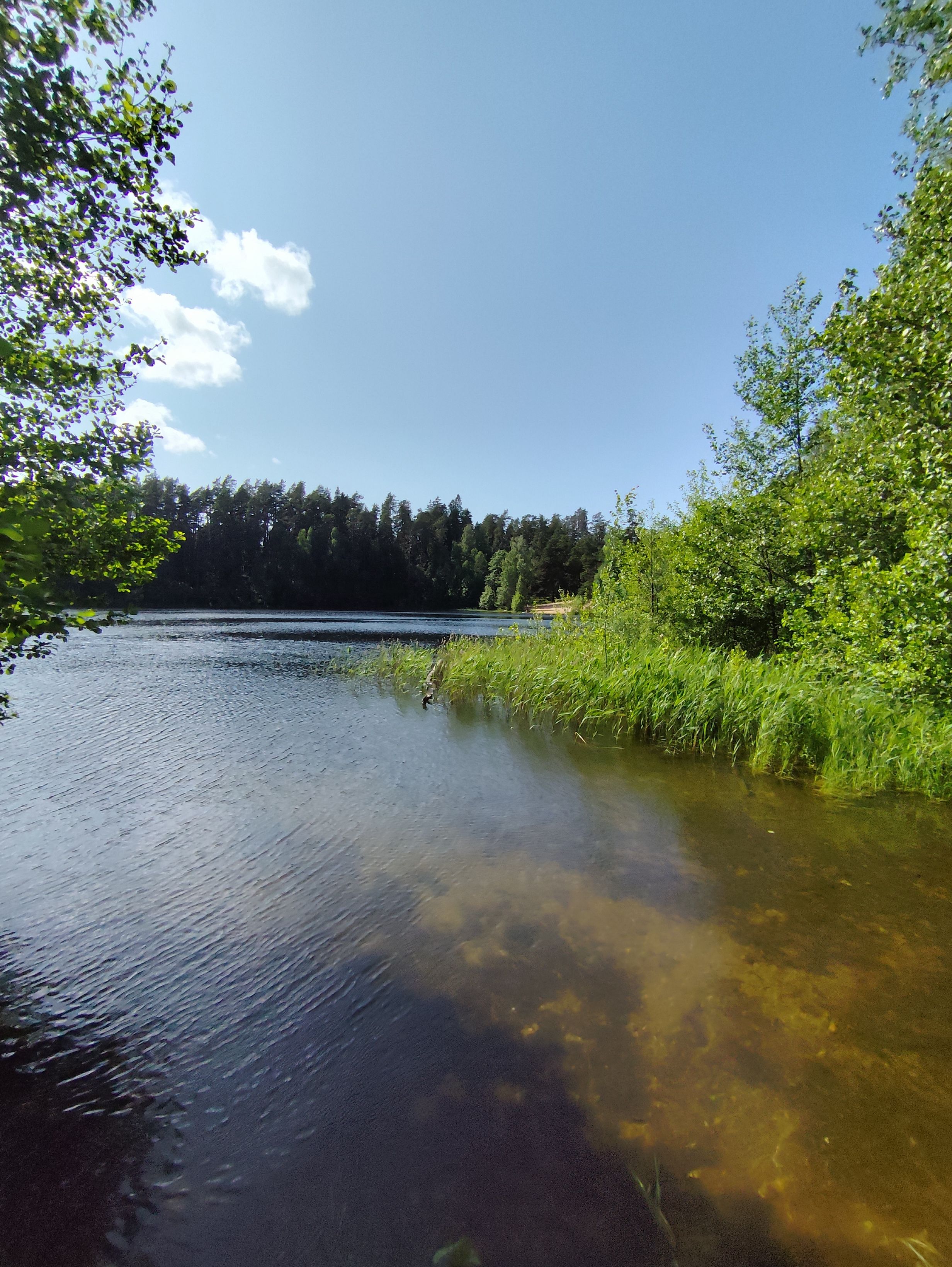 Viitna järv