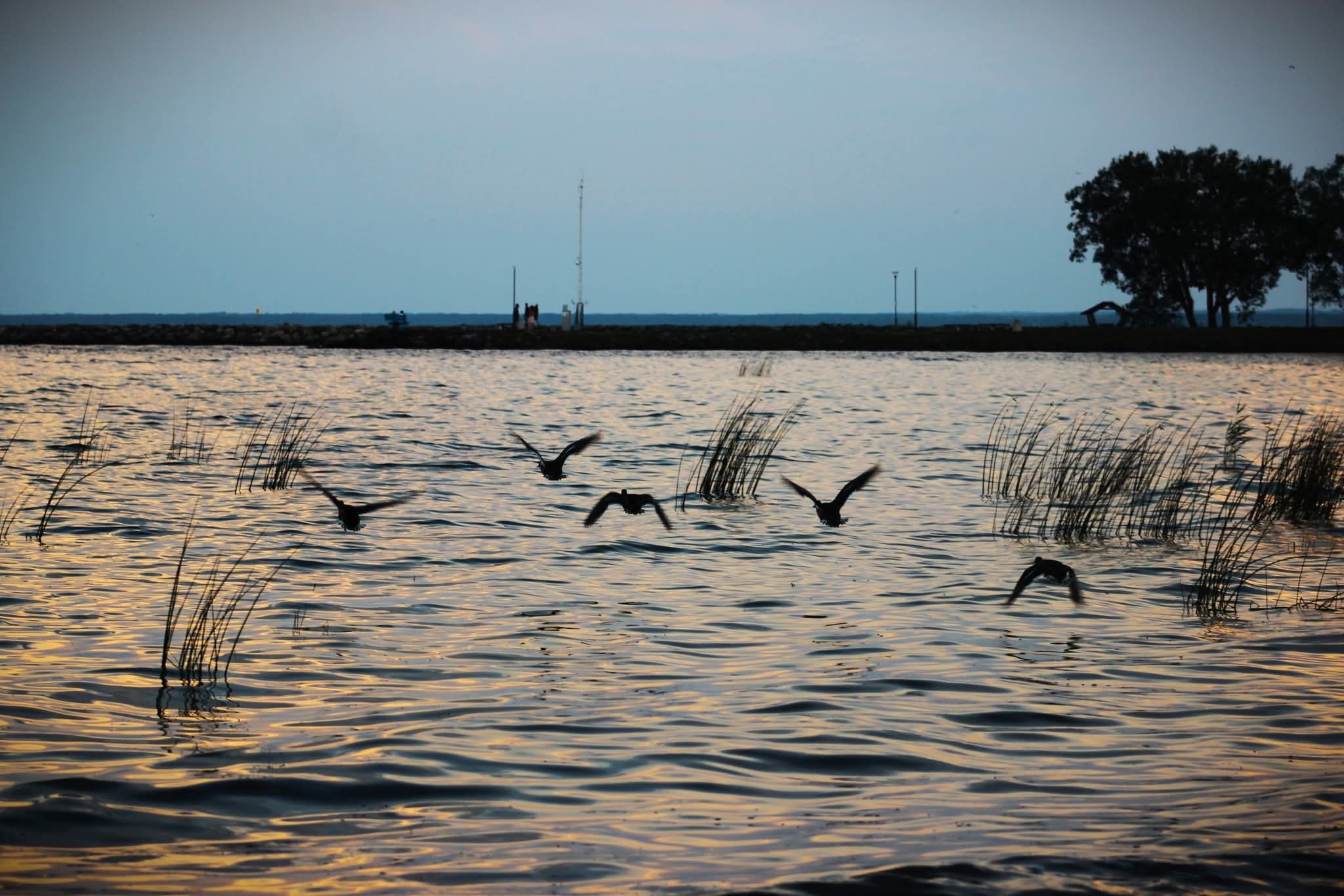 Peipsi järv 