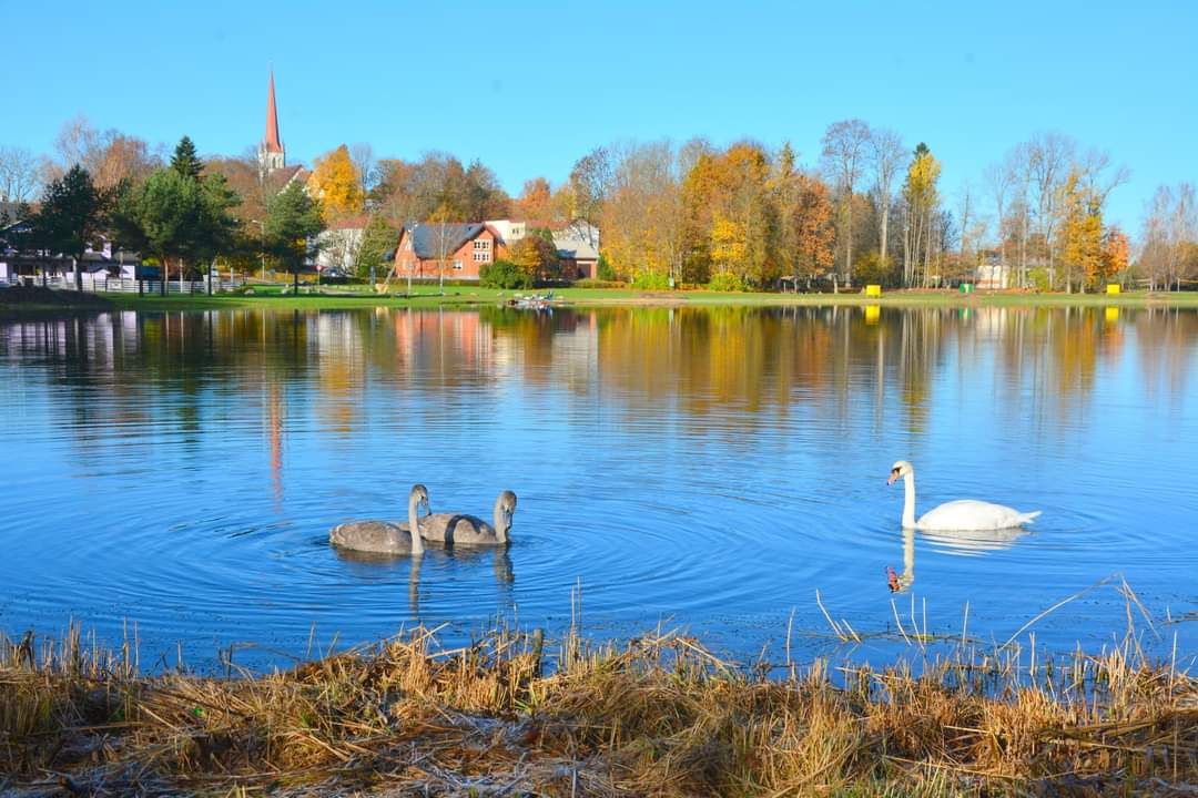 Türi tehisjärv