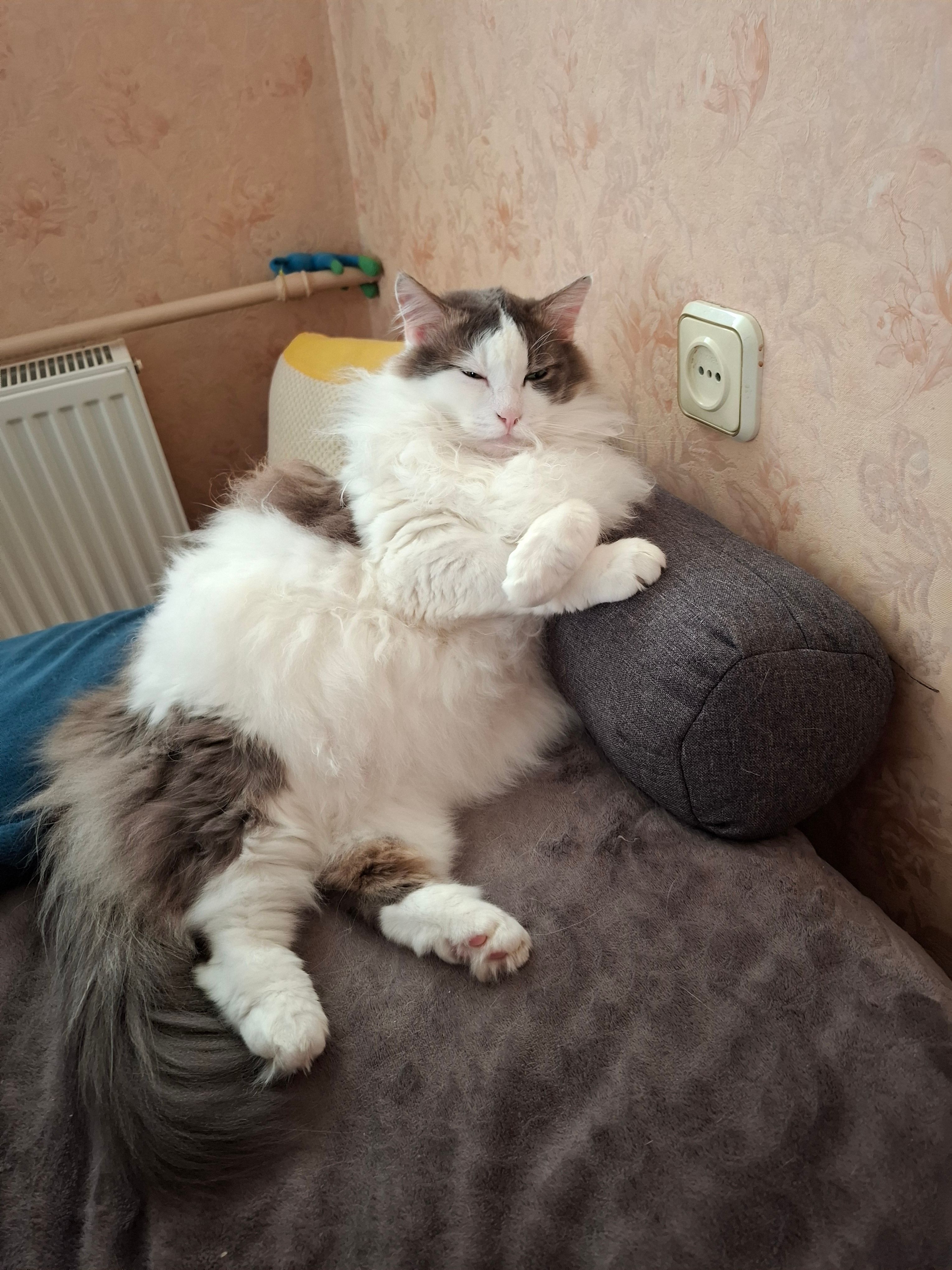 Ärka mind ja sa kahetsed seda!
