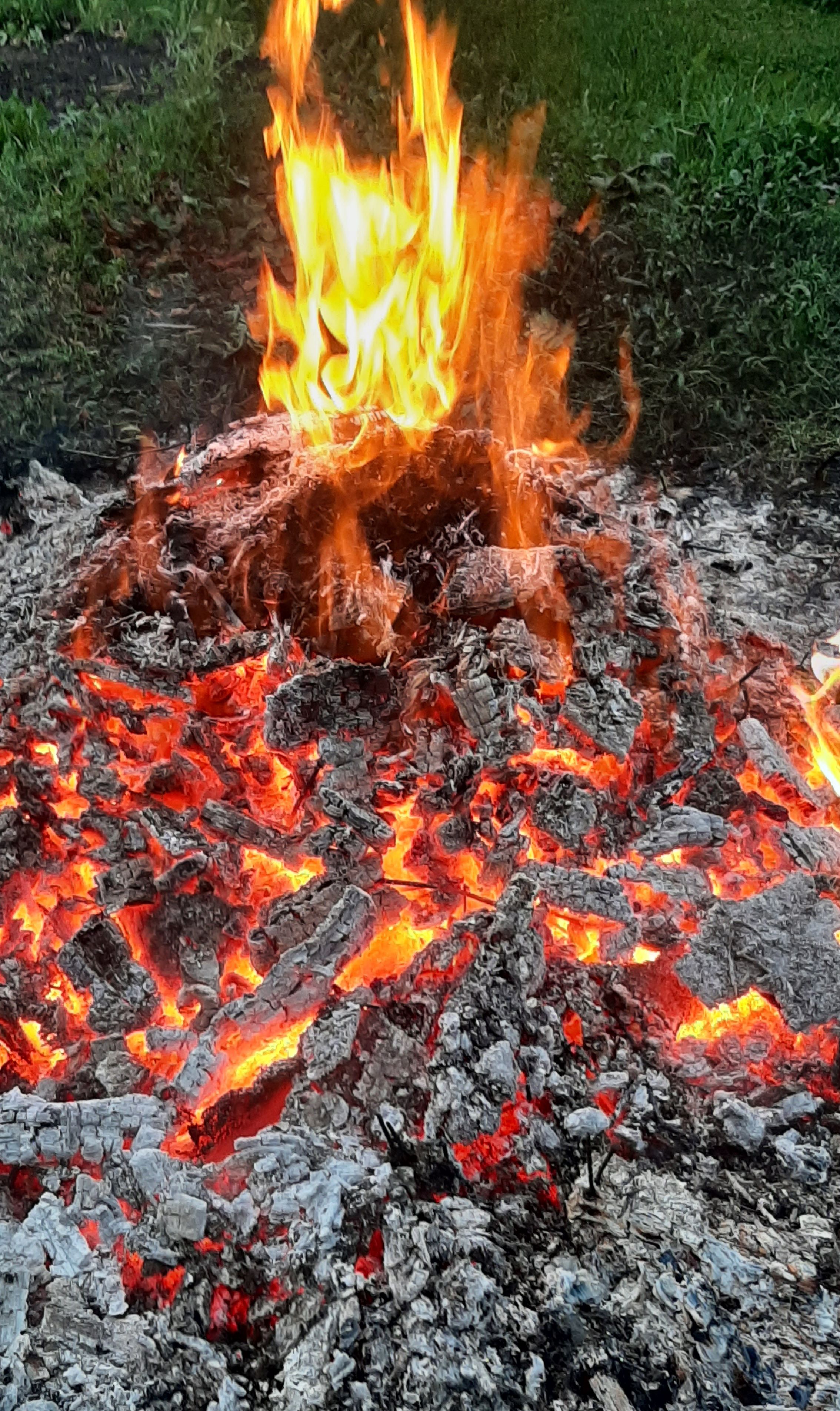 Kustuv jaanilõke