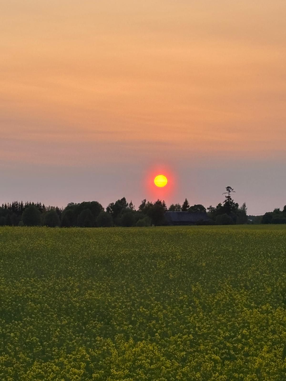 Loojuv päike Kaaruka külas