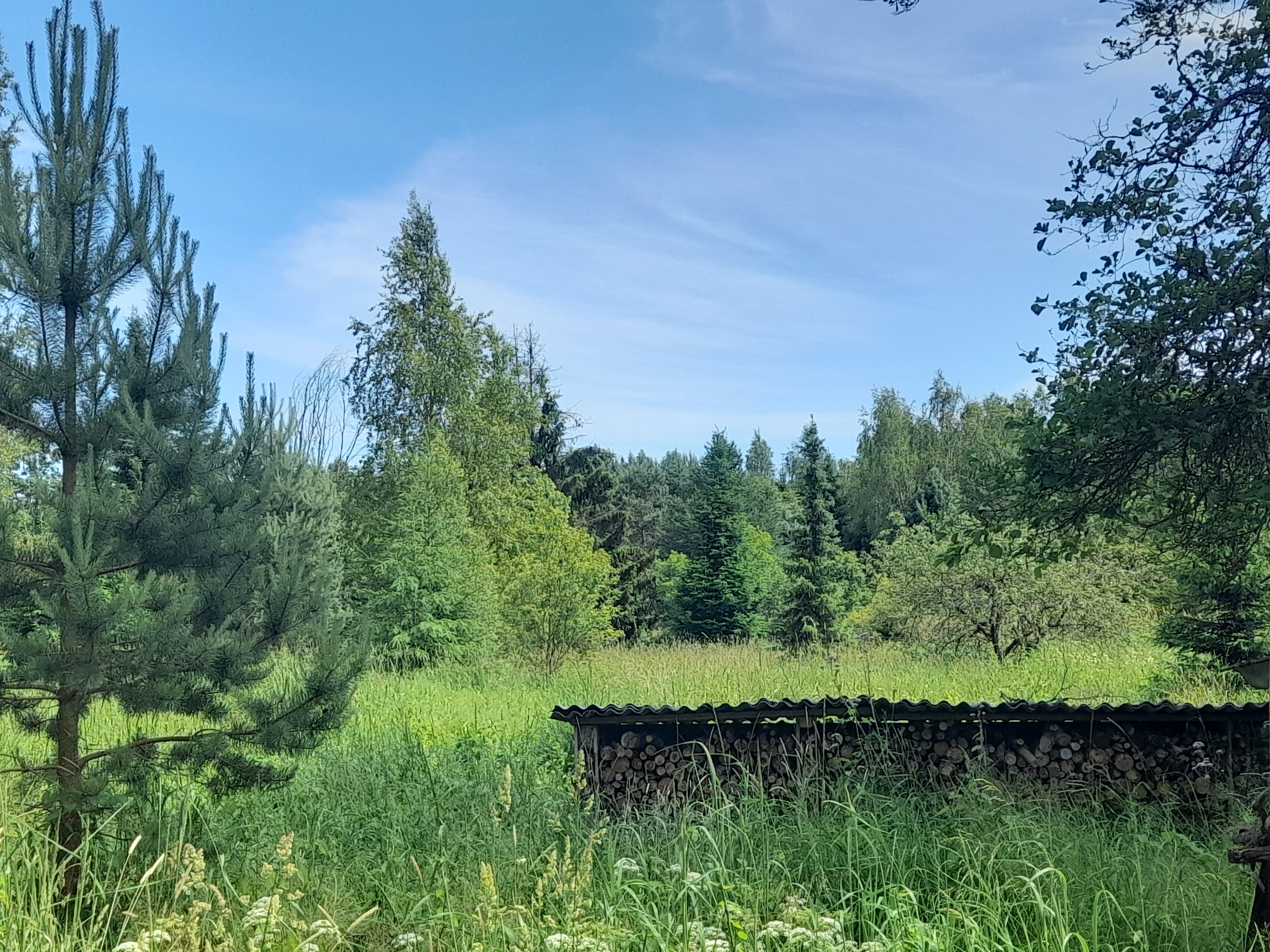 See lõputu heinamaa