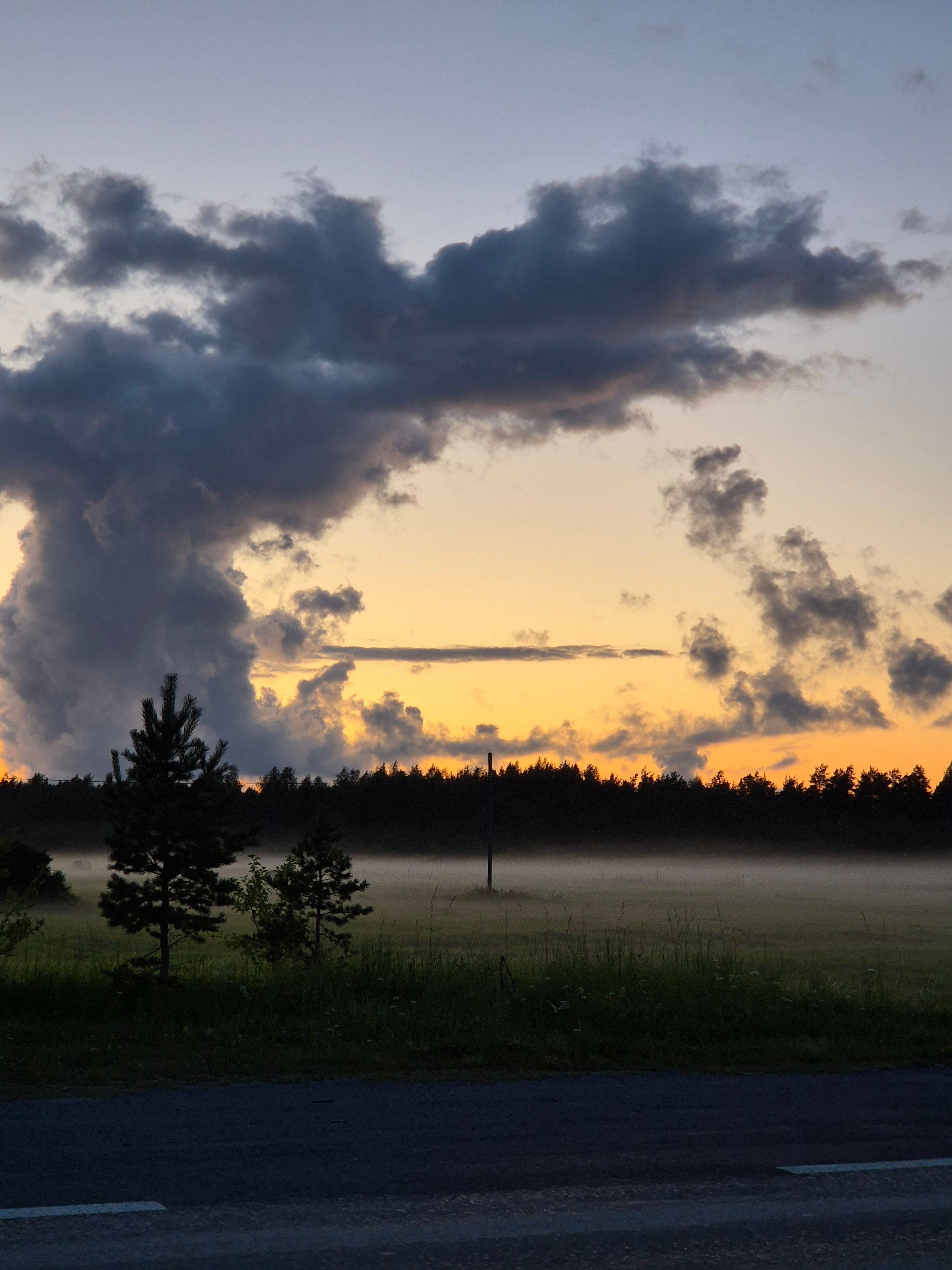 Ilus suveõhtu,udu heinamaal