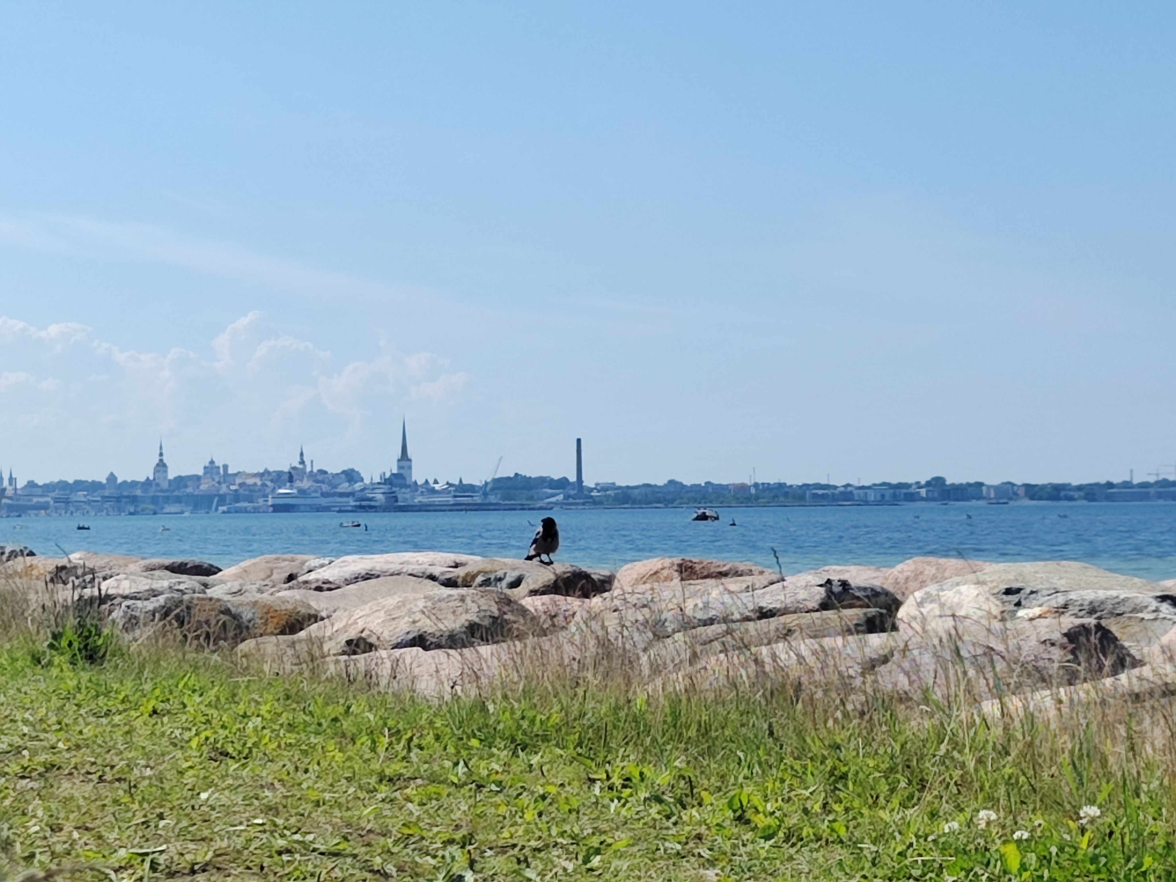 Tallinn