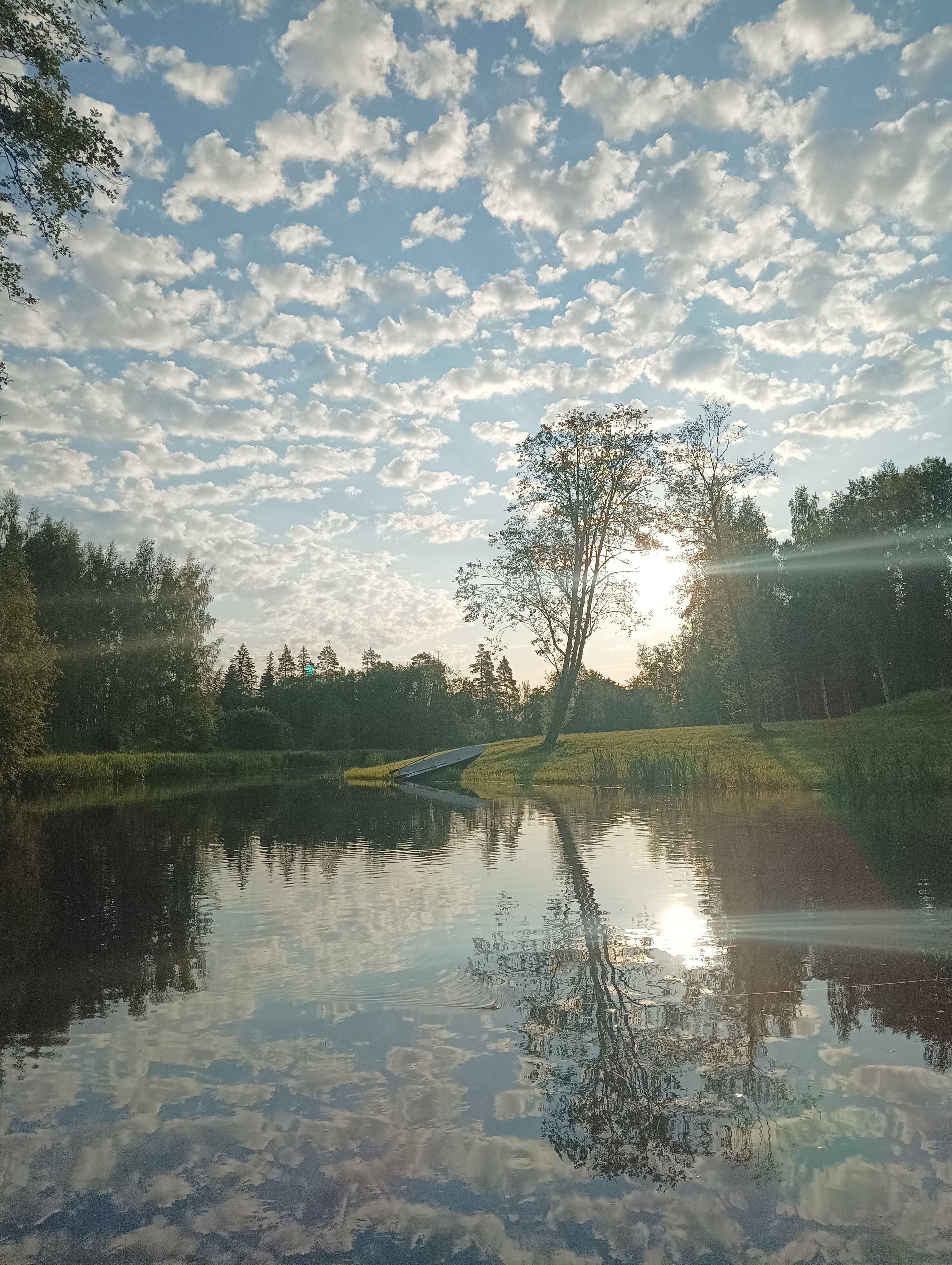 Varajane suvehommik.