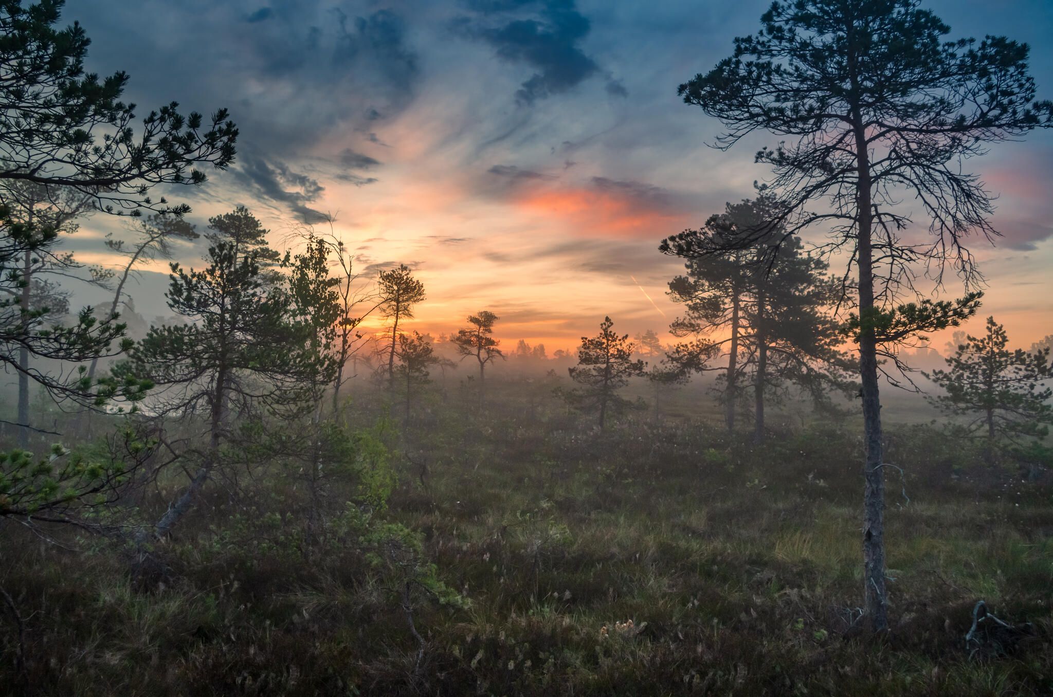 Suveöö Mukri rabas